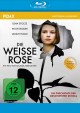 Die Weisse Rose - Pidax Historien-Klassiker (Blu-ray Disc)