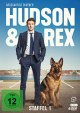 Hudson und Rex - Staffel 01