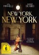 New York, New York - Special Edition (DVD+2x Blu-ray Disc)