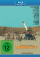 Asteroid City (Blu-ray Disc)