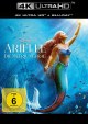 Arielle, die Meerjungfrau  (4K UHD+Blu-ray Disc)