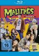 Mallrats (Blu-ray Disc)
