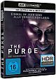 The Purge - Die Suberung - 4K (4K UHD+Blu-ray Disc)