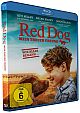 Red Dog - Mein treuer Freund (Blu-ray Disc)