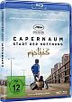 Capernaum - Stadt der Hoffnung (Blu-ray Disc)