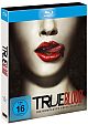 True Blood - Staffel 1 (Blu-ray Disc)