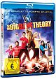 The Big Bang Theory - Staffel 5 (Blu-ray Disc)