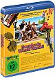 Everybody Wants Some!! (Blu-ray Disc)